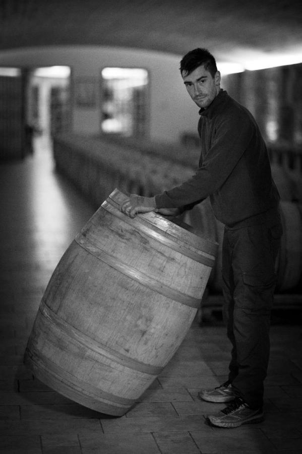 Il Roncal Wine Resort - For Wine Lovers Cividale Del Friuli Exterior photo