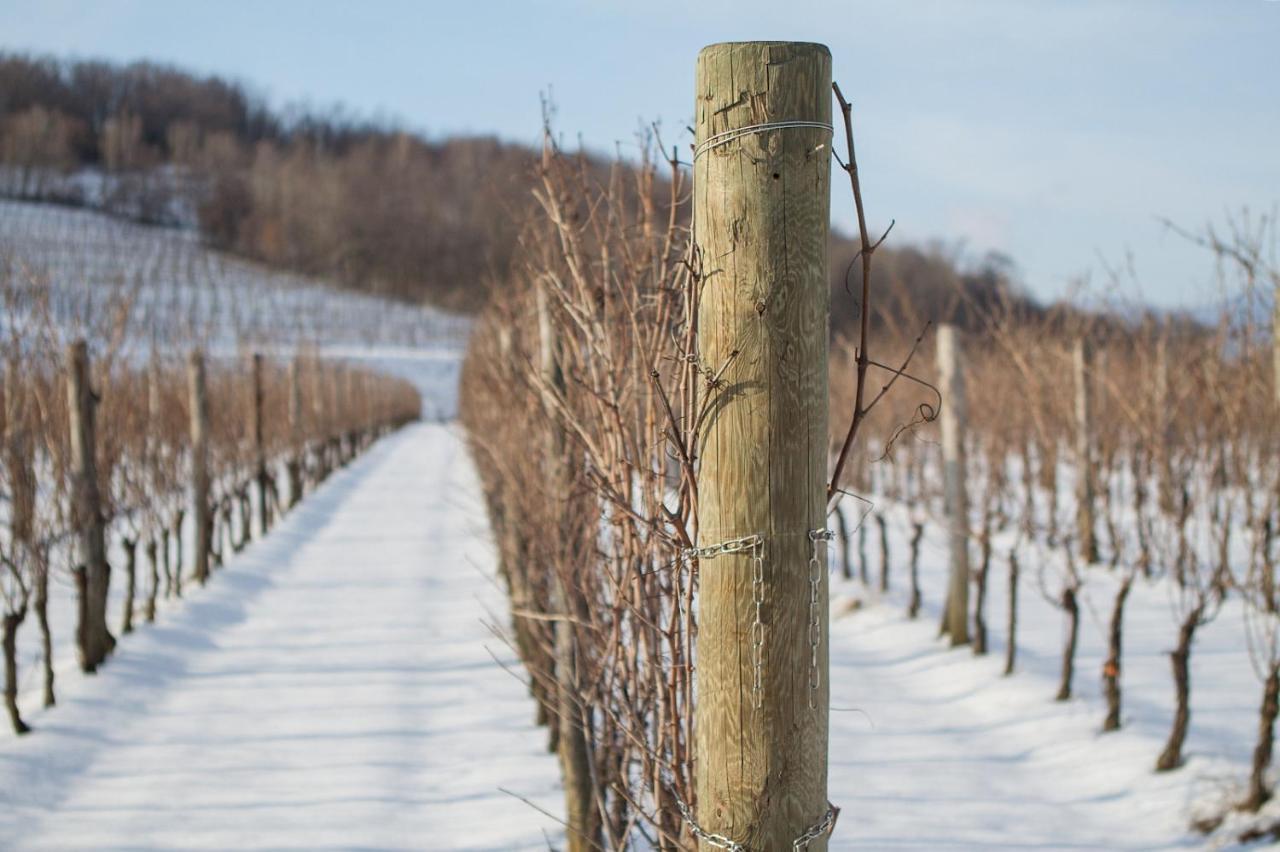 Il Roncal Wine Resort - For Wine Lovers Cividale Del Friuli Exterior photo