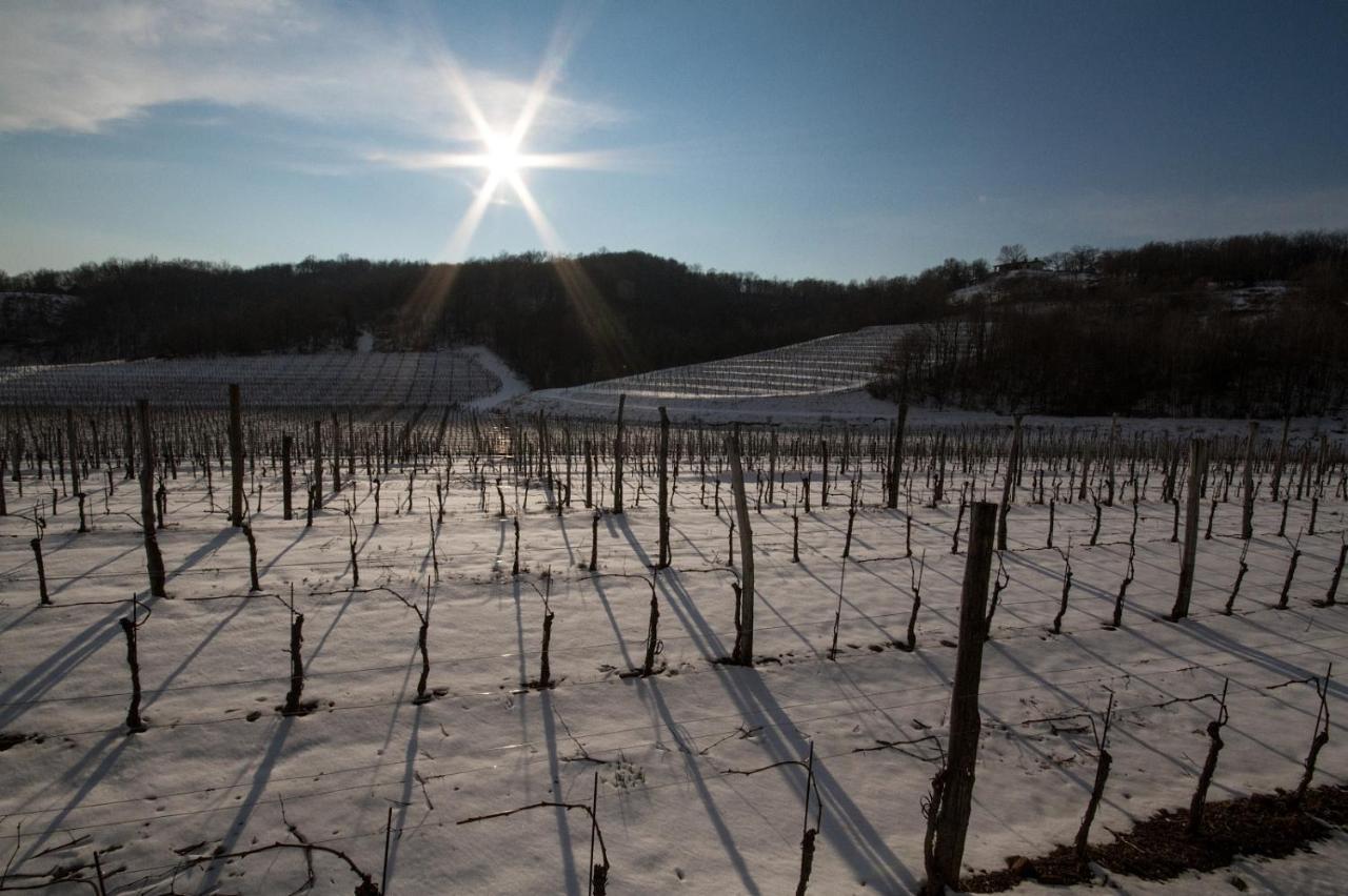 Il Roncal Wine Resort - For Wine Lovers Cividale Del Friuli Exterior photo