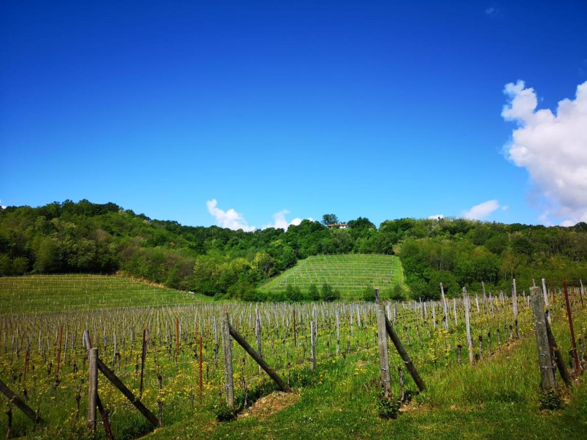 Il Roncal Wine Resort - For Wine Lovers Cividale Del Friuli Exterior photo